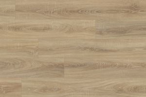 D37526 vf 01