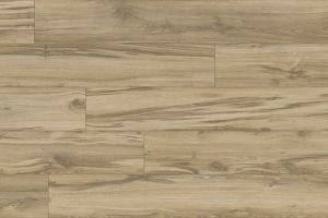 D37663 vf jpg